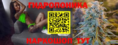 МДМА Новозыбков