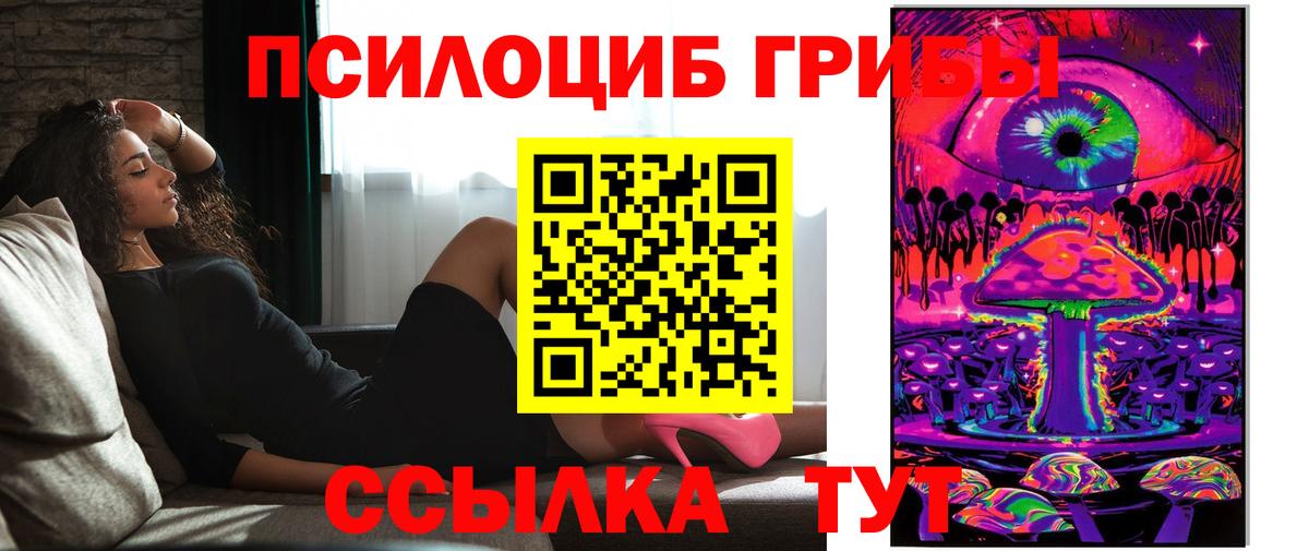 Галлюциногенные грибы Psilocybe Рубцовск